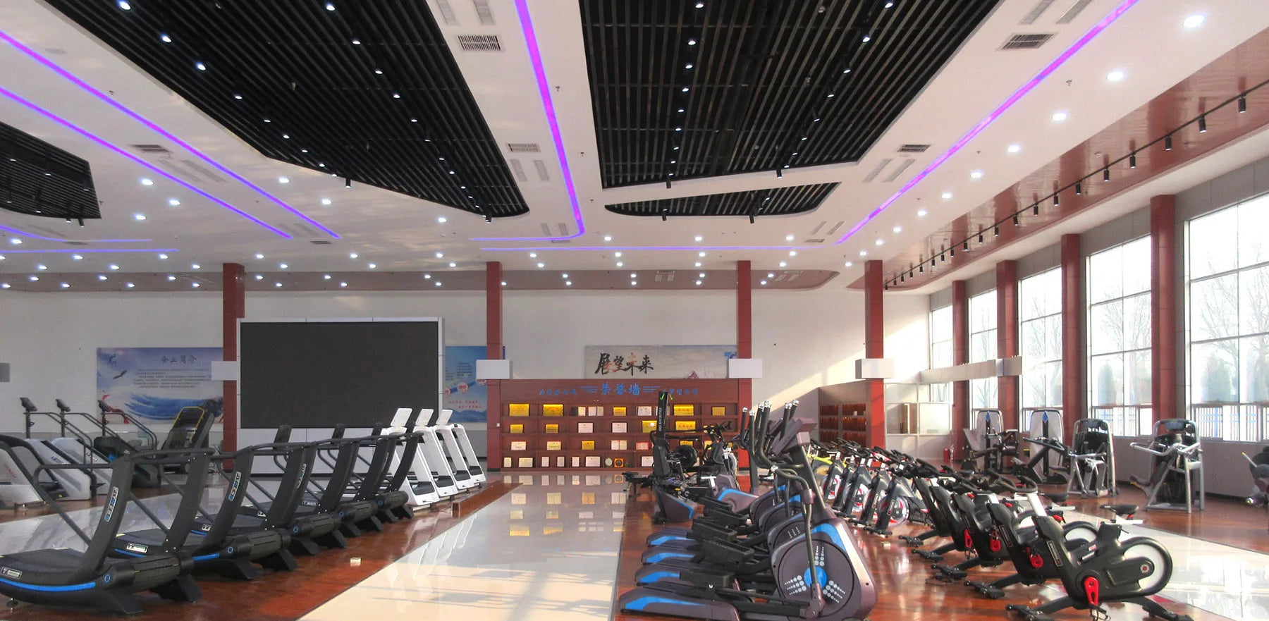 Gym Equipment Half Cable Crossover Machine