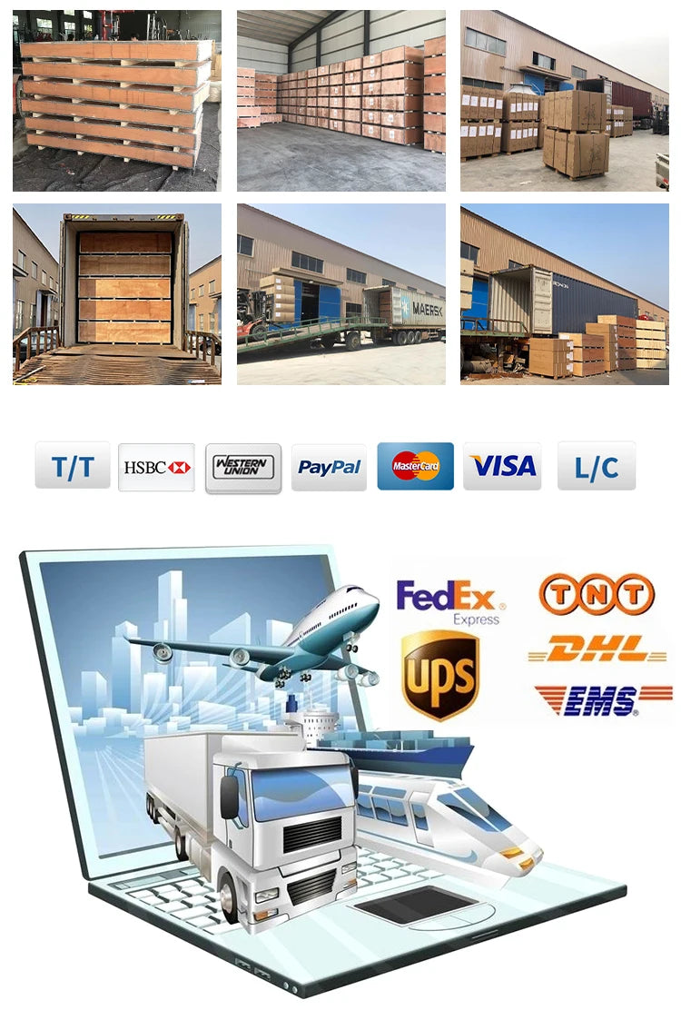 Row Gym Machine Sports Fitness Equipment YG-8008 Hot Sale New Lat Pull Down Low Seated